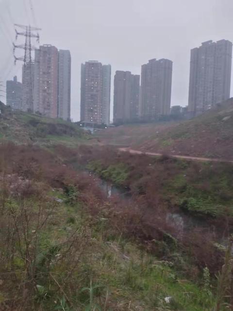 最新16个超大特大城市榜单