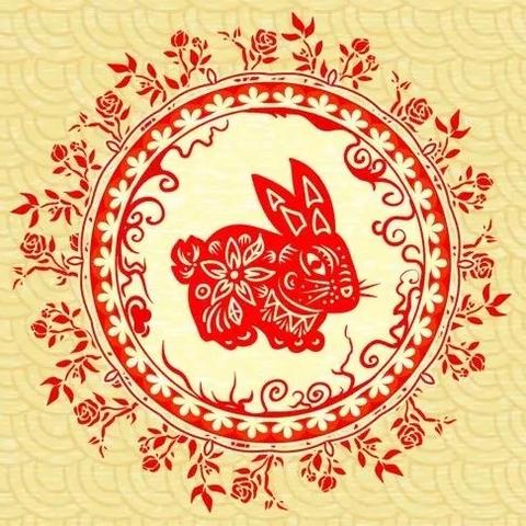 生肖兔一年财运运势(生肖兔一生财运)