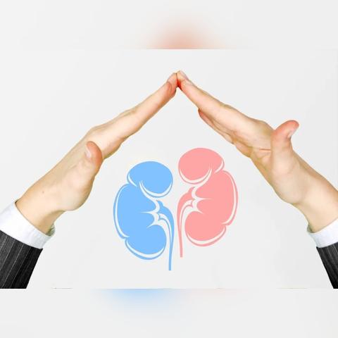 【如何通过食物补养肾虚：全方位饮食指南】-第3张图片-其人生活百科