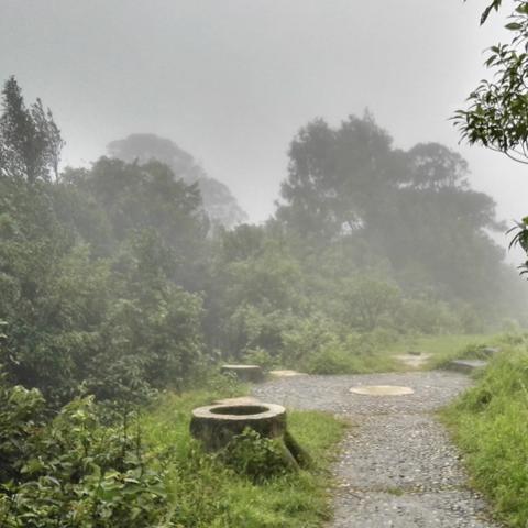 成都市自然王国怎么玩儿