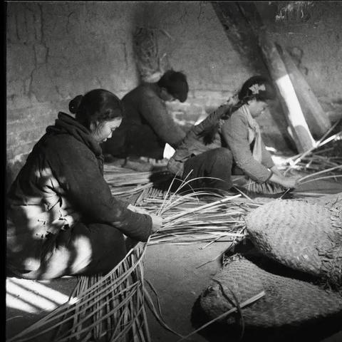关于上海生死较量相关关键词有哪些