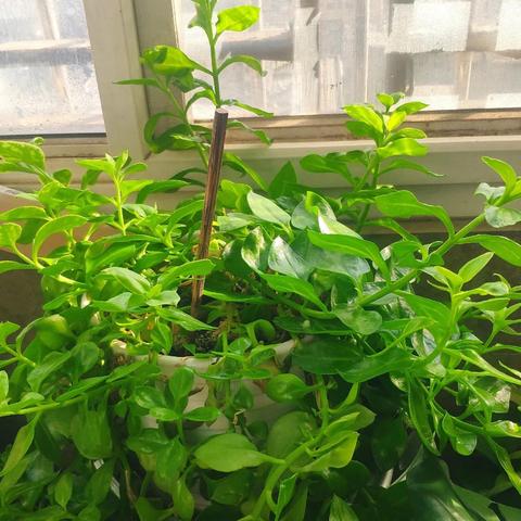 西安市阳台下雨怎么办呀