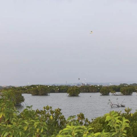 哈尔滨市金牛岛是哪个区