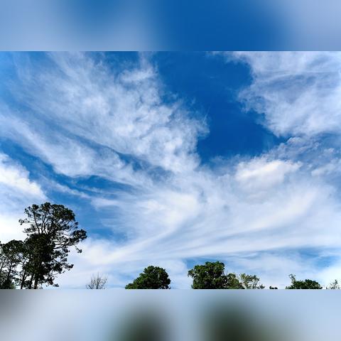 哈尔滨见亲家相关长尾关键词有哪些