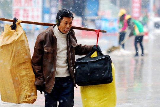 农民工留在农村，可以做哪些项目赚钱？