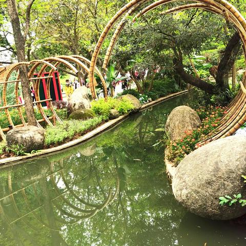 最近广州市有什么花展呢