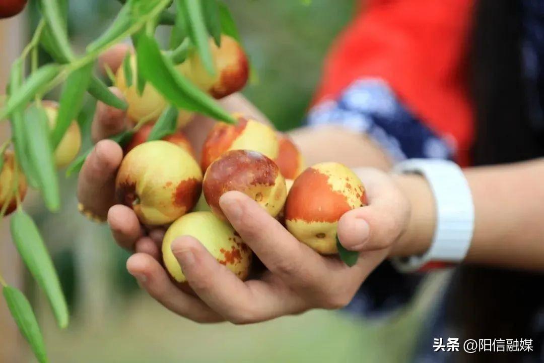 沾化家乡美食是什么（你觉得济南有哪些地方了不起）