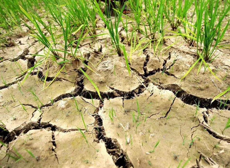 31省份新增本土确诊6例 在辽宁云南
 ,31省份新增确诊18例 本土4例在辽宁