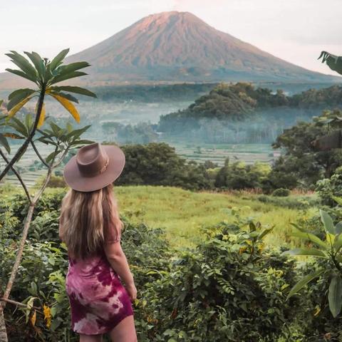 森林的照片图片大全的长尾关键词有哪些