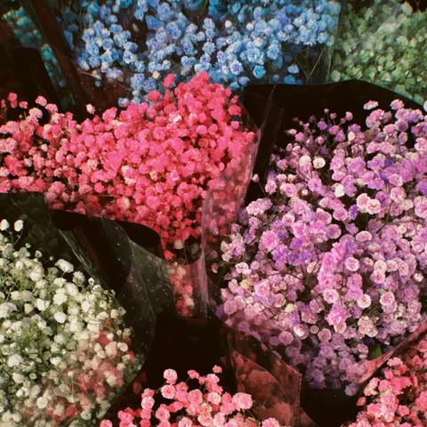 南宁防刮花胶片的相关长尾关键词有哪些