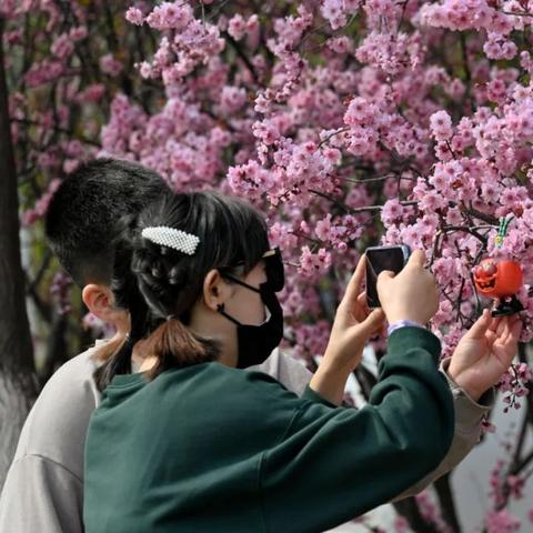 临沂市昆仑花园怎么样