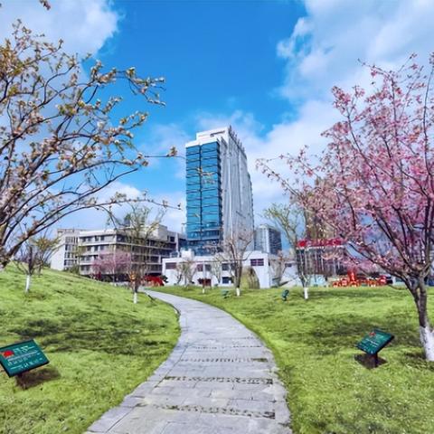 长城基金：政策暖风频吹，医药板块中长期投资时点来临？