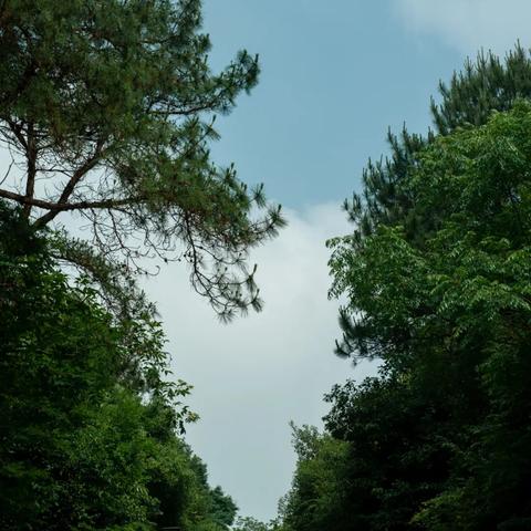 武汉市什么时候去旅游