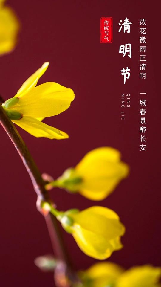 「2022.04.05」早安心语，正能量温心祝福语句子，清明节图片素材