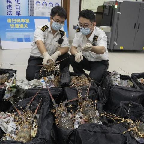 得物跨境为什么便宜