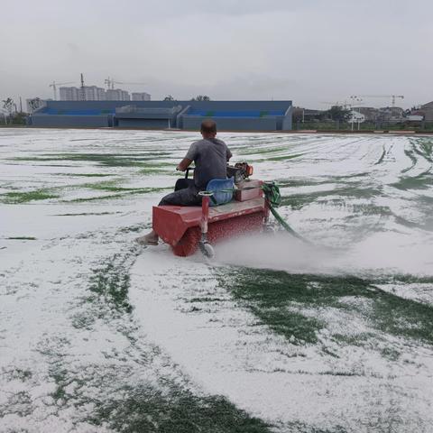 足球场草坪施工多少钱