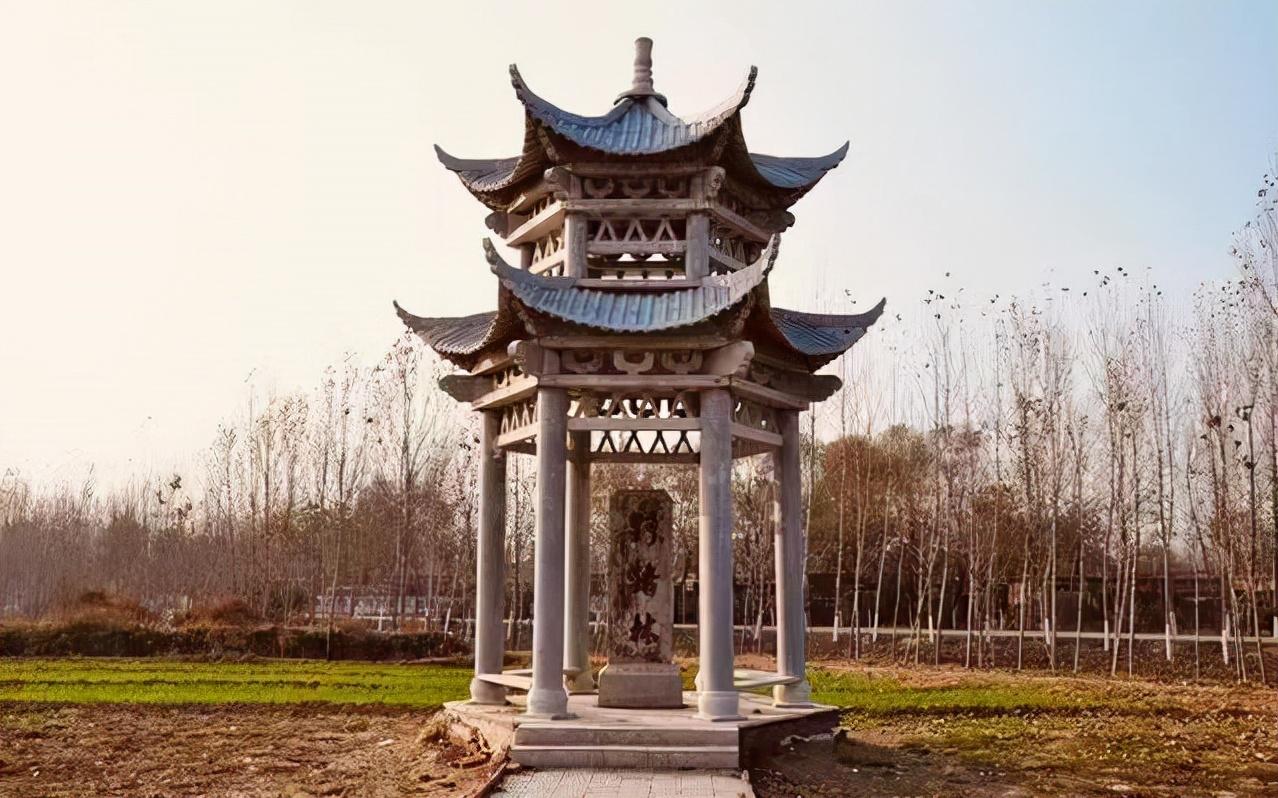 鲁智深大闹野猪林概括(林冲和鲁智深和两个鸟的故事是什么m)