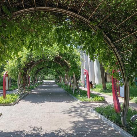 天津哪个省空间