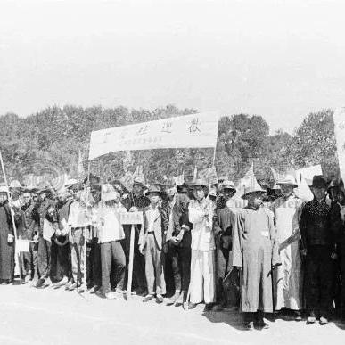 长春市哪里买木质椅子