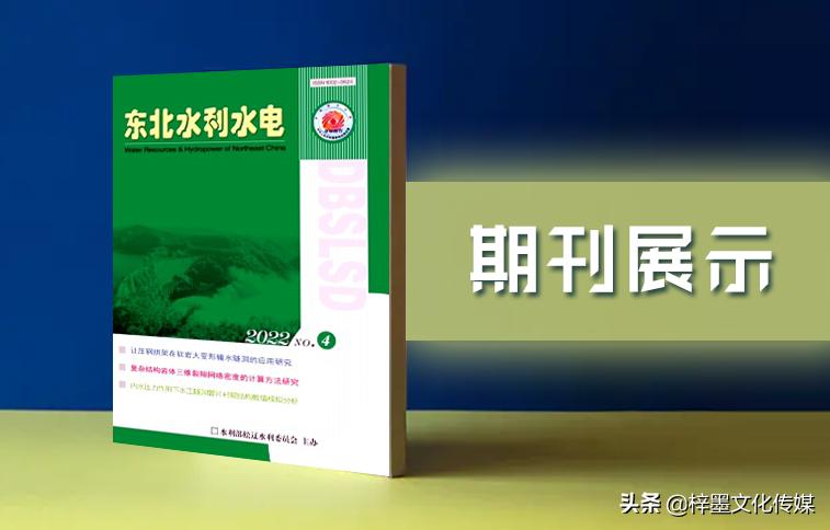 小水电毕业论文范文格式翟山鹰说未来三年电动轿车会全崩了