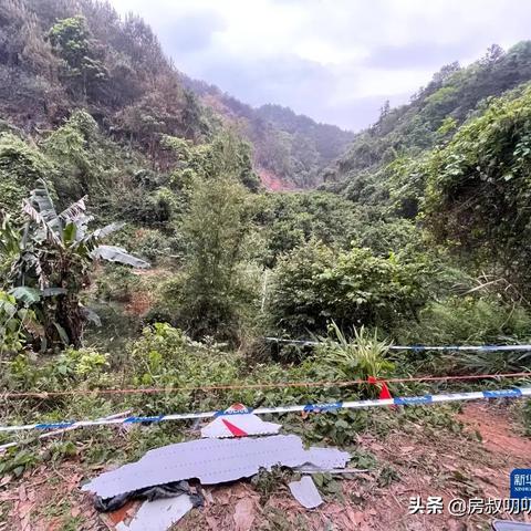 桂林空难爱慕大相关长尾关键词有哪些
