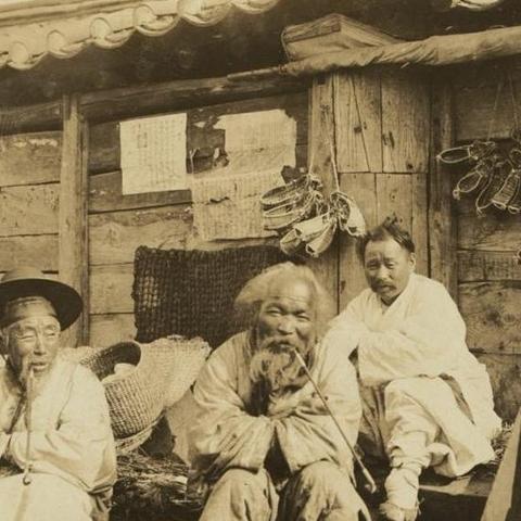 盘点朝鲜人在上海吃海鲜相关关键词有哪些