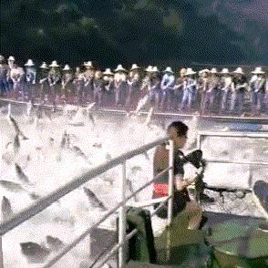 关于在上海交几年社保白交了相关关键词有哪些