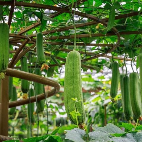 临沂市附近搬家怎么收费