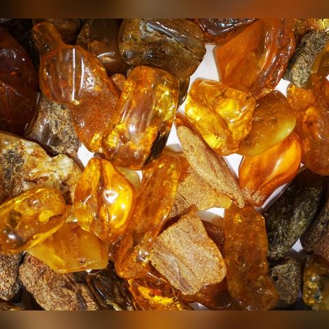 哈尔滨市文玩市场在哪里