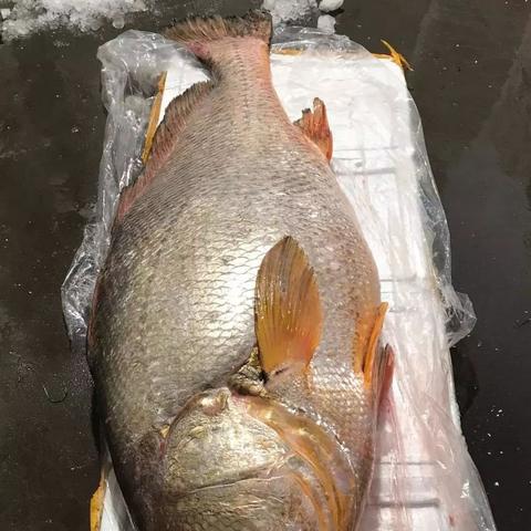 福建2012专升本计划的相关长尾关键词有哪些