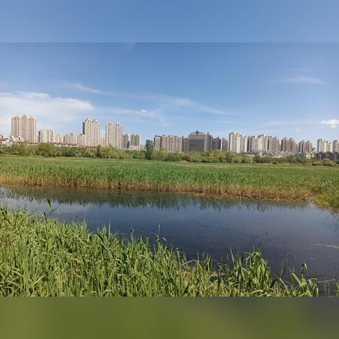 哈尔滨体育舞蹈学校相关长尾关键词有哪些