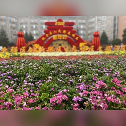 武汉路灯灯笼怎么处理？