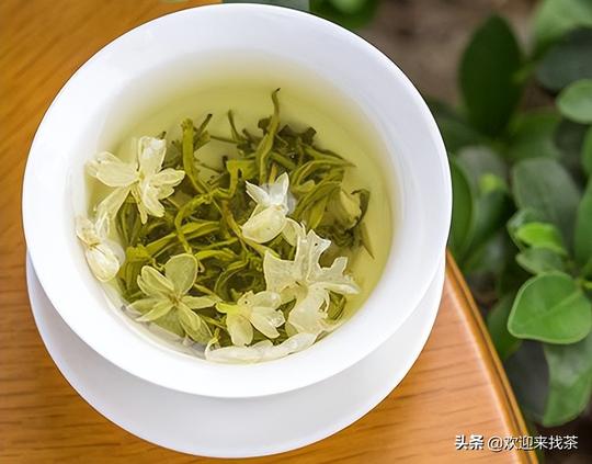 茉莉花茶，为什么北方人爱之如命，南方人却不屑饮之