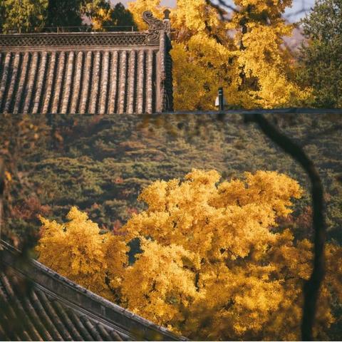 东莞市资福禅寺在哪里