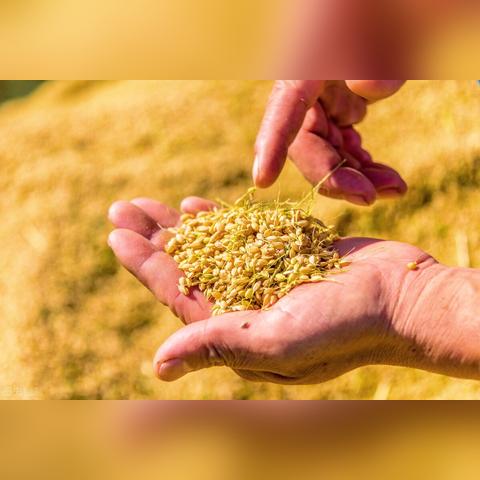 湖北仙桃到河南驻马店要几个小时？