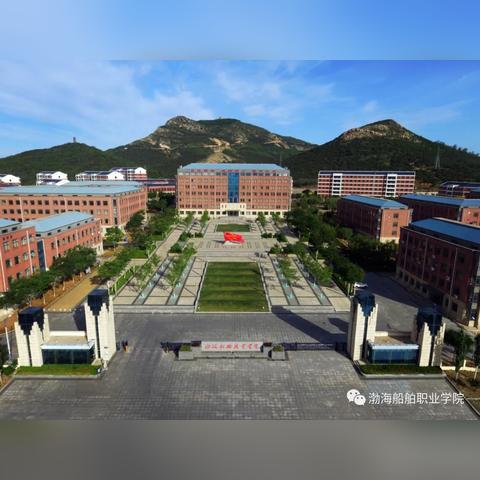 天津市青岛区在哪个位置