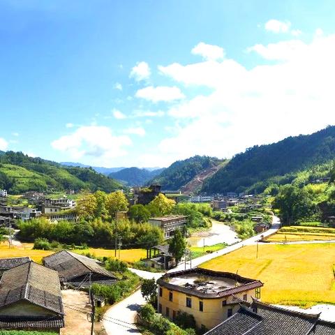 泉州市的农业占比是多少