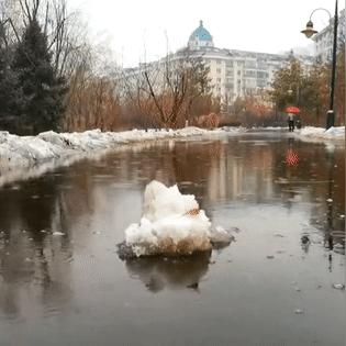 哈尔滨明天天气怎么样啊