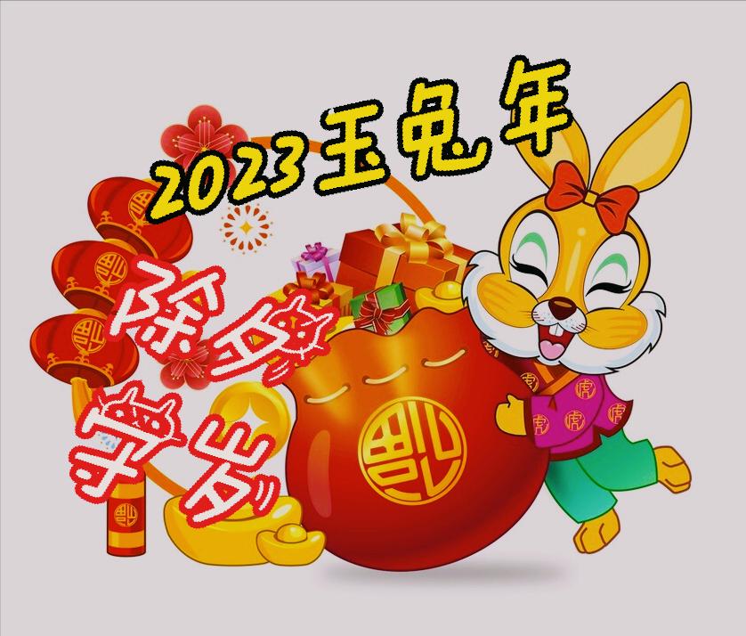 属水兔宝宝怎么起名好(2023是什么兔年)