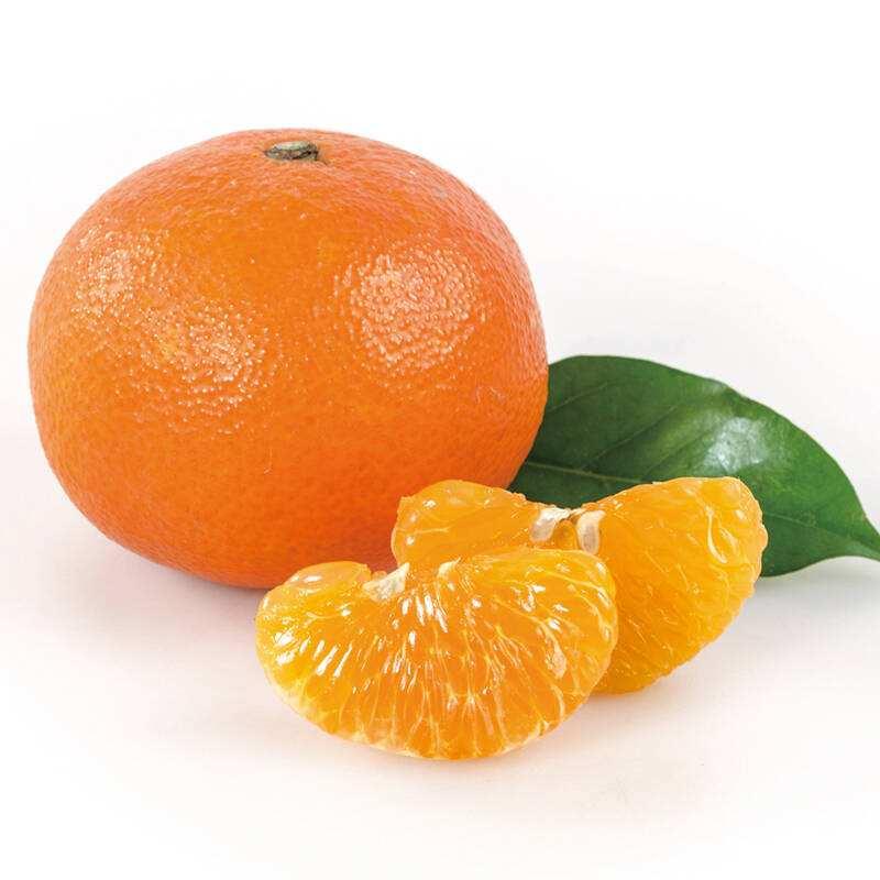 抖音涨粉丝平台桔子网络
 /抖音 橘子