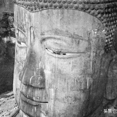 [苏州救助站]相关长尾关键词有哪些