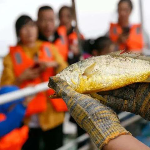 温州市2018职工疗养的长尾关键词有什么
