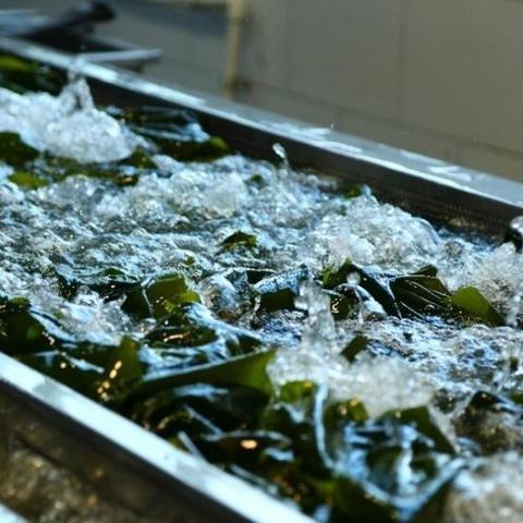 东海跨境供货平台的相关长尾关键词有哪些