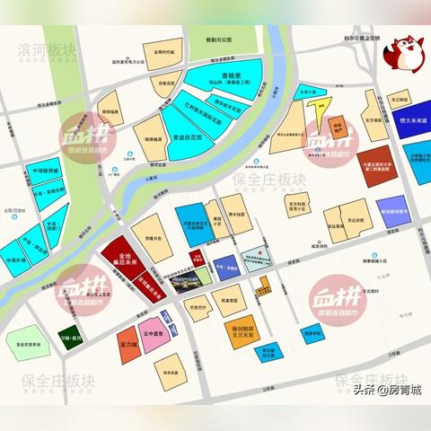 盘点现在上海健康码带号相关关键词有哪些