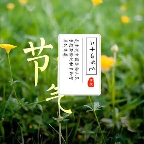 谷雨是什么时候