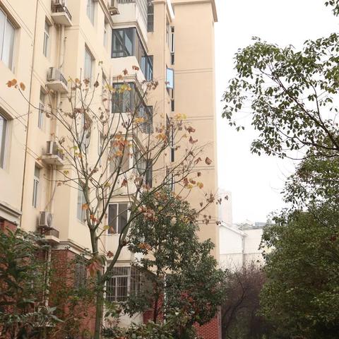 长沙服务好的搬家公司？