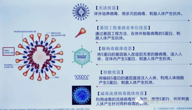 DNA之父是谁
