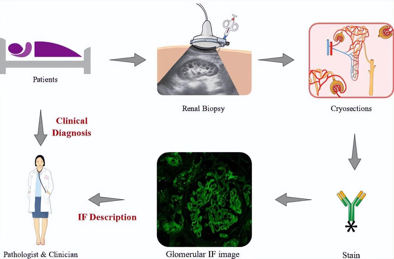 自动化与信息工程文学期刊tm是什么期刊