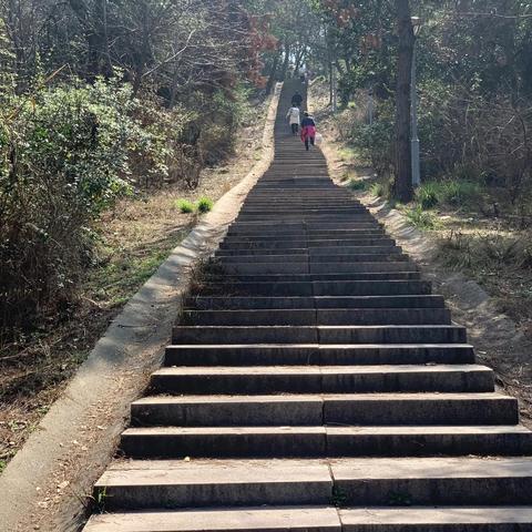 武汉市有什么免费登山