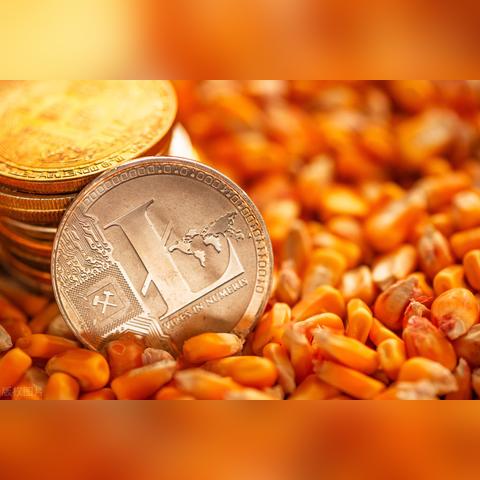 济南玉米塔相关长尾关键词有哪些